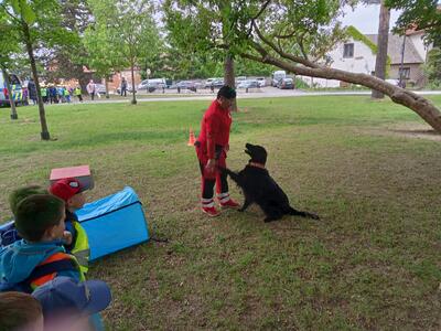 IMG20250530095501_00