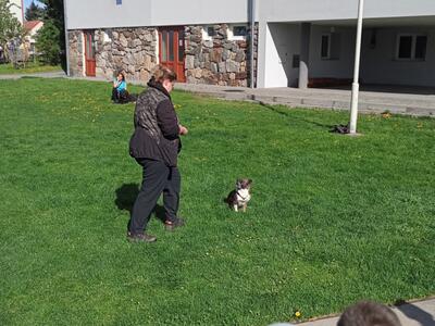 IMG20250422093715_00