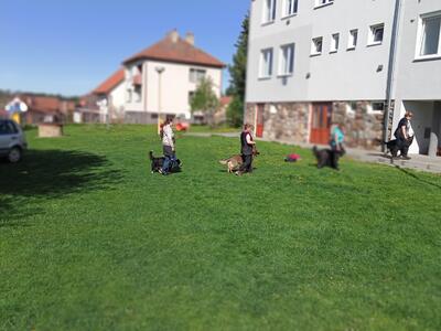 IMG20250422094445_00