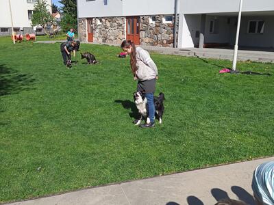 IMG20250422100615_00