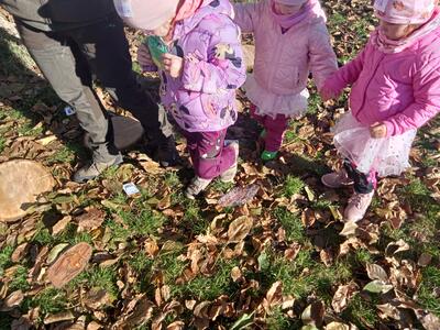 IMG20251020095109_00