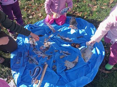 IMG20251020101207_00