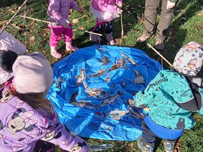 IMG20251020101438_00