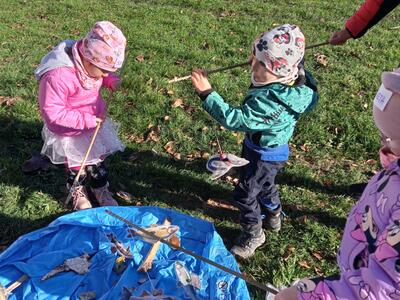 IMG20251020101511_00