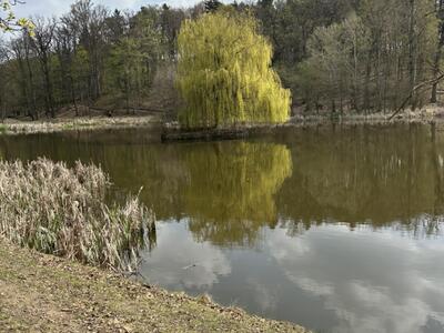 IMG_2304