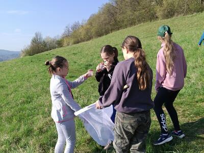 IMG_20260417_084306