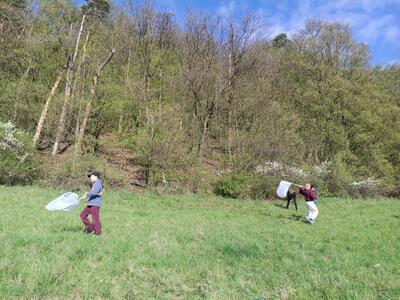 IMG_20260417_084631