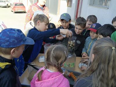 IMG_20260424_092533