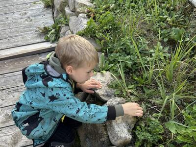 IMG_3411